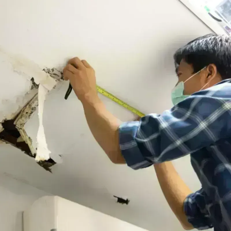 Ceiling And Wall Water Damage in Ripley County, MO